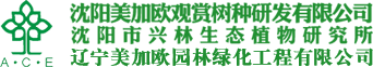 云開(kāi)買(mǎi)球入口